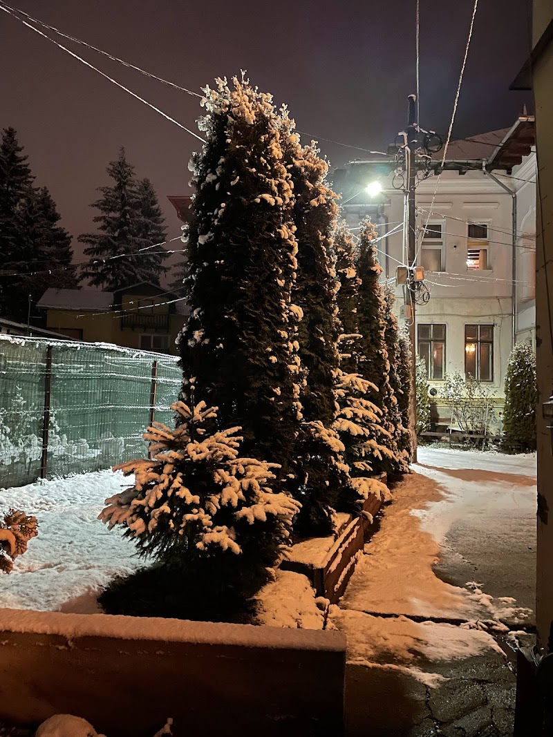 Pension Casa Patricia in Sinaia, Romania