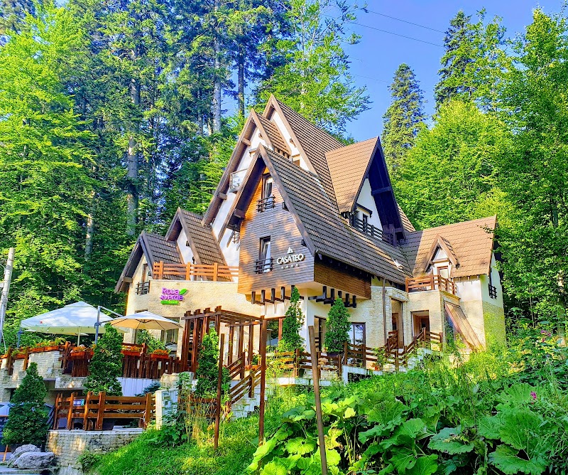 Pension Casa Teo in Sinaia, Romania