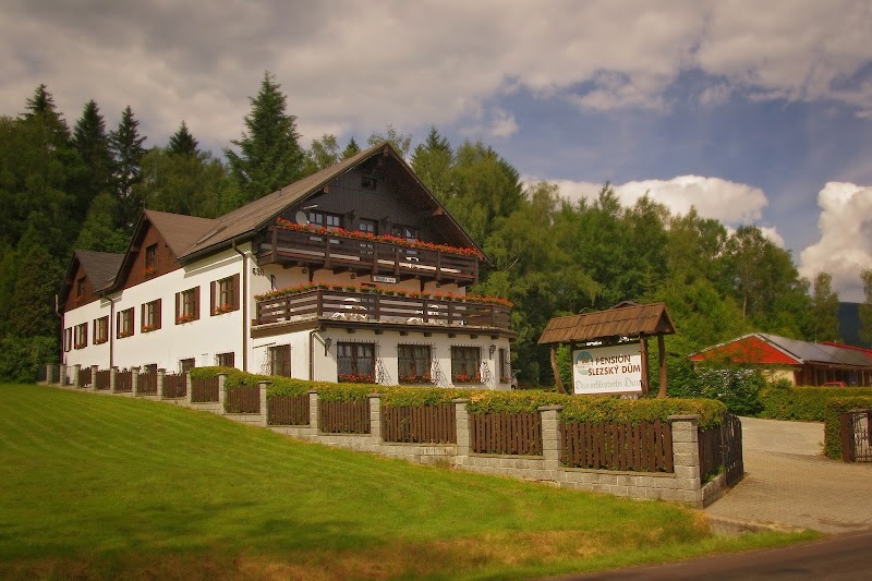 Pension Slezsky Dum in Jesenik, Czechia