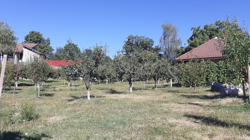 Pensiunea Alex & Maria in Orsova, Romania