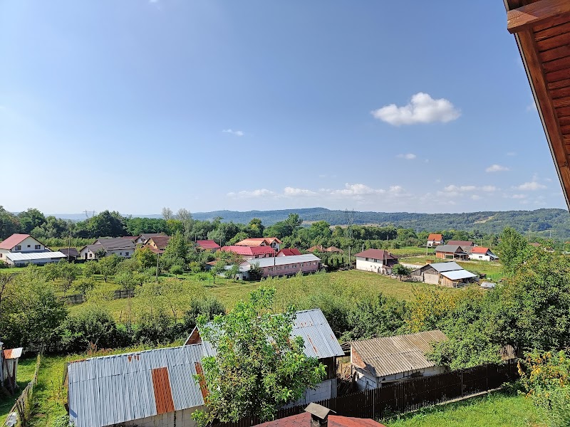 Pensiunea Casa Argesana in Curtea de Arges, Romania