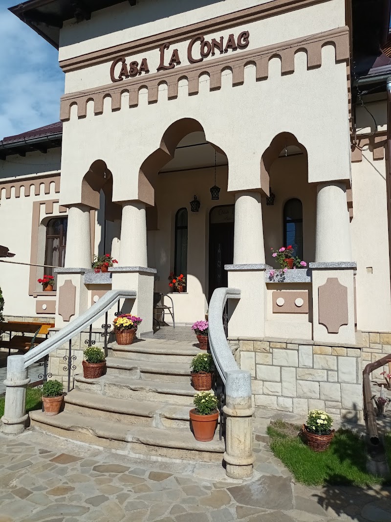 Pensiunea Casa Dacică in Targu Ocna, Romania