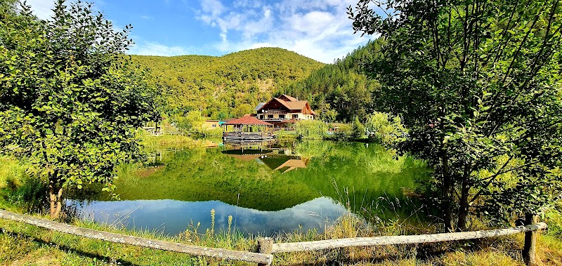 Pensiunea Casiana in Deva, Romania