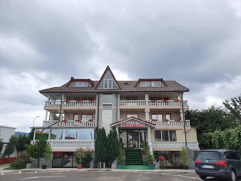 Pensiunea Cornelius in Piatra Neamt, Romania