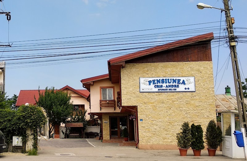 Pensiunea Cris in Afumati, Romania