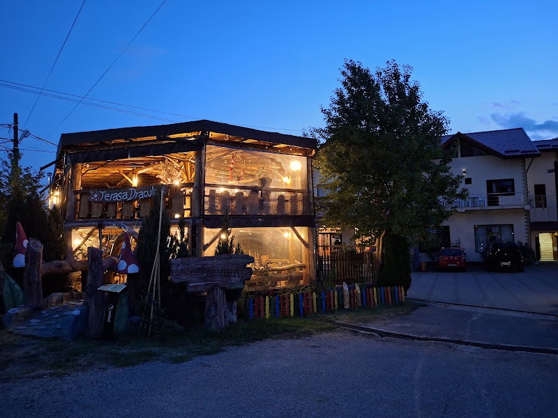 Pensiunea Dracula in Campulung, Romania