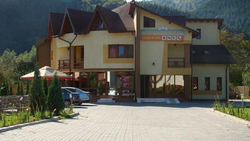 Pensiunea Floare de Colt in Campulung, Romania