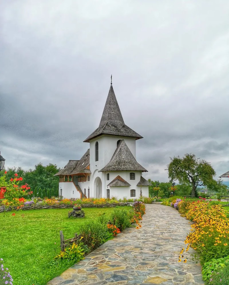 Pensiunea Ileana in Moisei, Romania