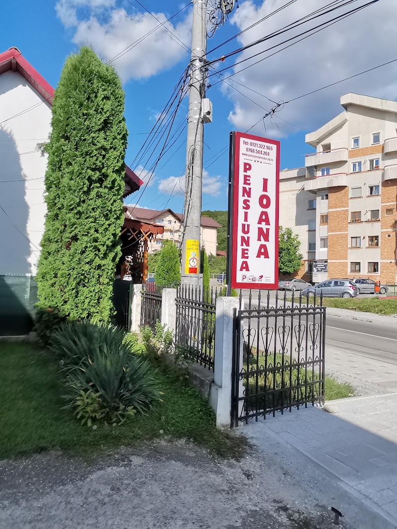 Pensiunea Ioana in Curtea de Arges, Romania