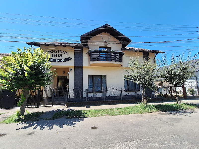 Pensiunea Iris in Sighetu Marmatiei, Romania