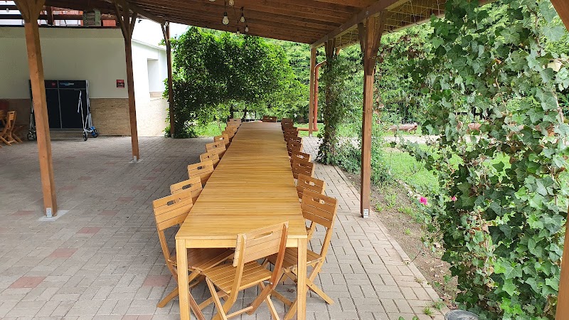 Pensiunea Isuica in Sovata, Romania