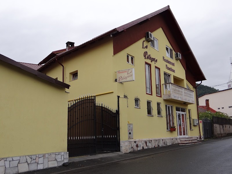 Pensiunea La Palaguta in Sighetu Marmatiei, Romania