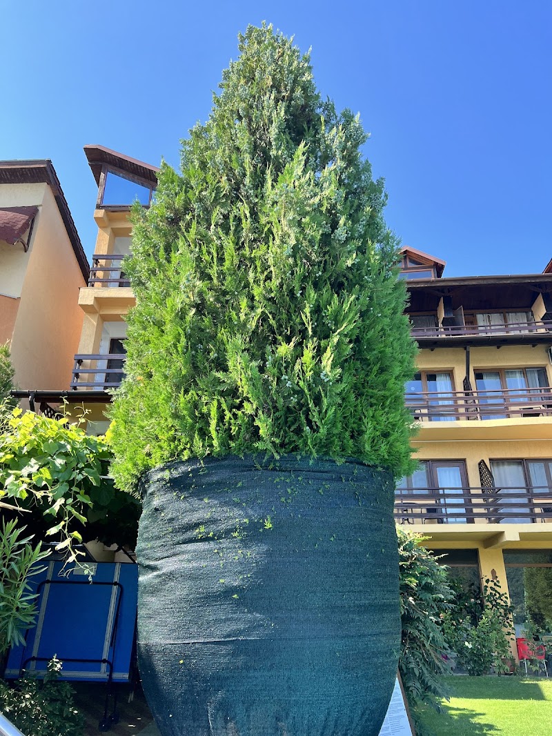 Pensiunea La Ponton in Orsova, Romania