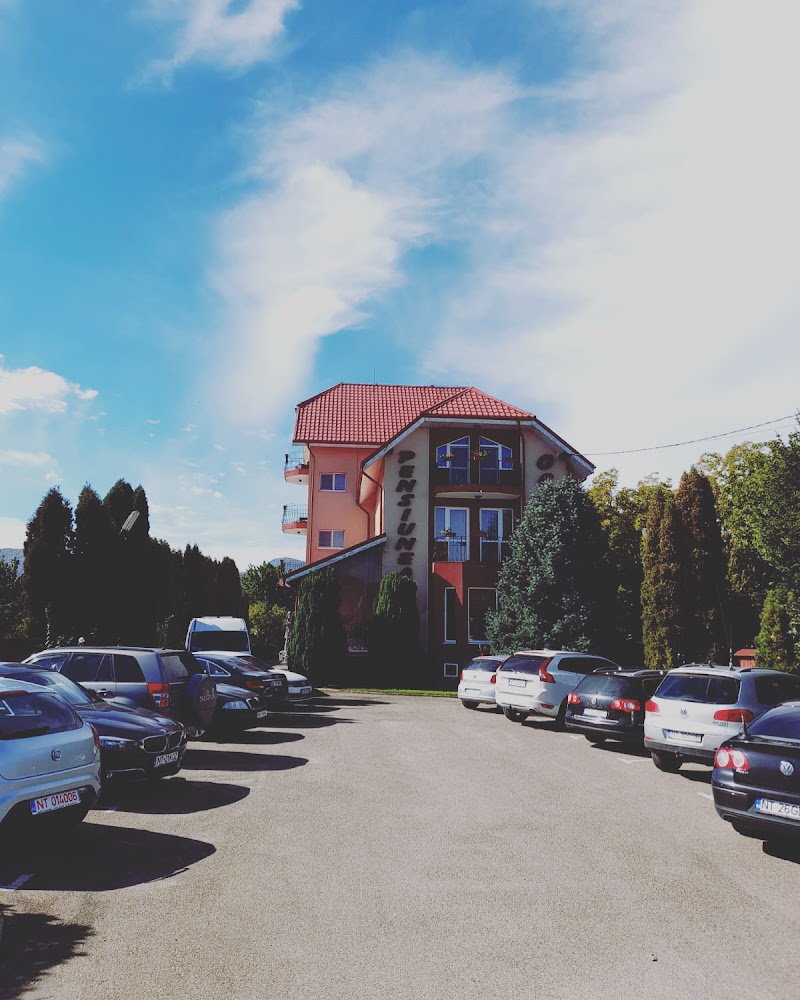 Pensiunea Octogon in Piatra Neamt, Romania