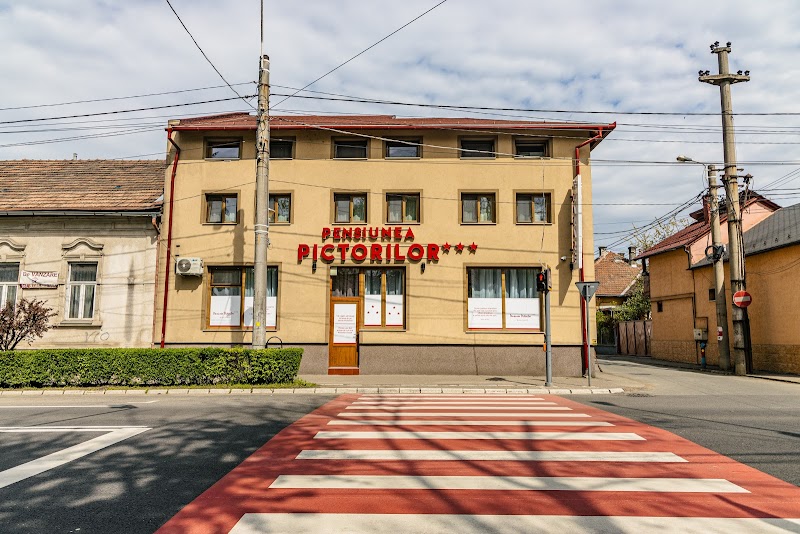 Pensiunea Pictorilor in Sighetu Marmatiei, Romania