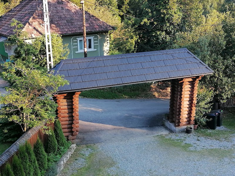 Pensiunea Pietrosul in Moisei, Romania