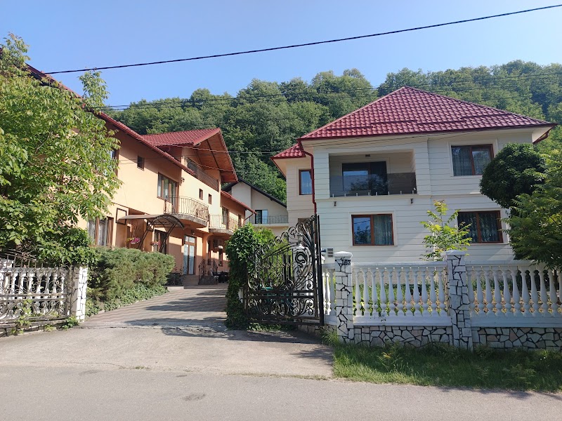 Pensiunea Răzvan in Moisei, Romania