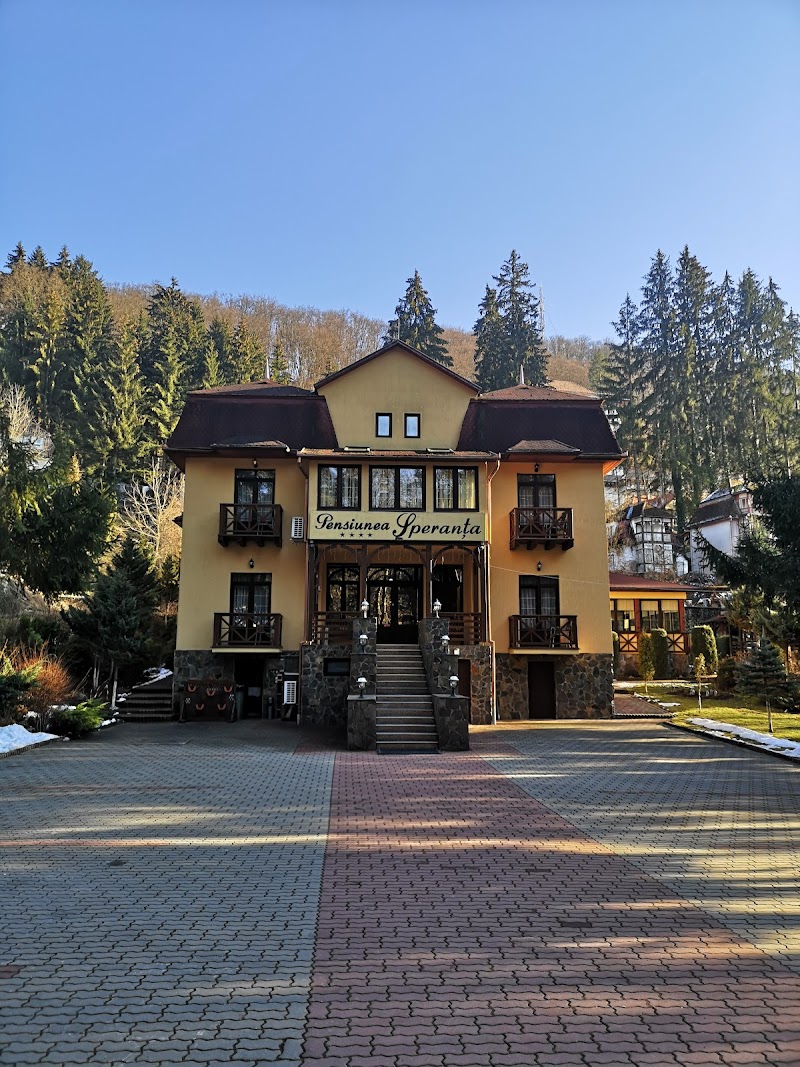Pensiunea Speranta Sovata in Sovata, Romania