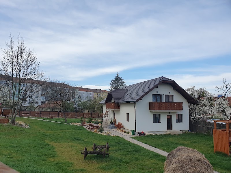 Pensiunea Transilvania in Covasna, Romania