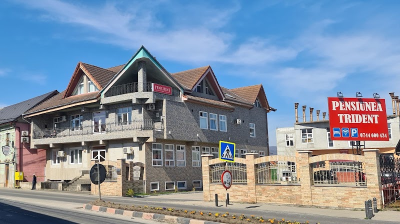 Pensiunea Trident in Hunedoara, Romania