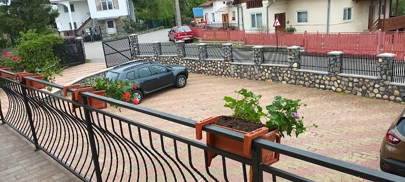 Pensiunea Valea Ursului in Campulung, Romania