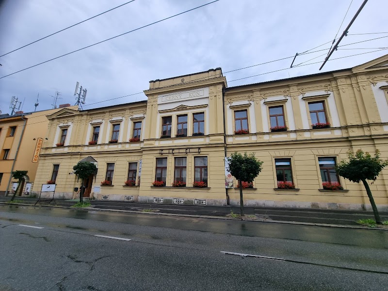 Penzion Černý kůň in Pardubice, Czechia