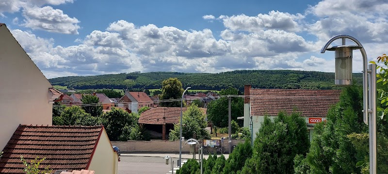 Penzion U Holubů in Opava, Czechia