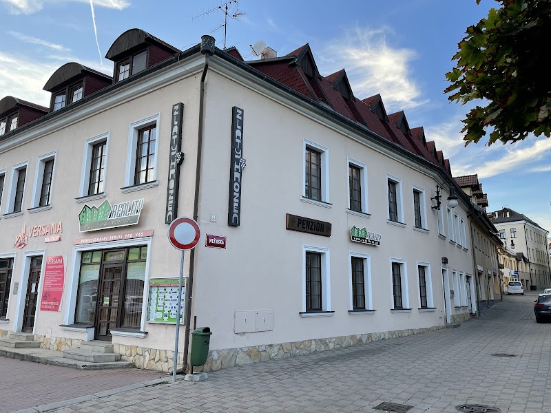 Penzion Zlatý Hrozen in Ceska Lipa, Czechia