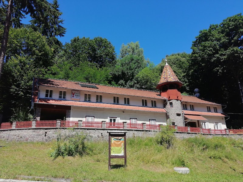 Phoenix Guesthouse in Covasna, Romania