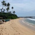 Sandy Sri Lanka