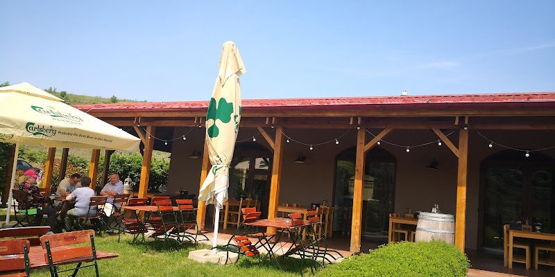 Sarea-n Bucate Hotel in Turda, Romania