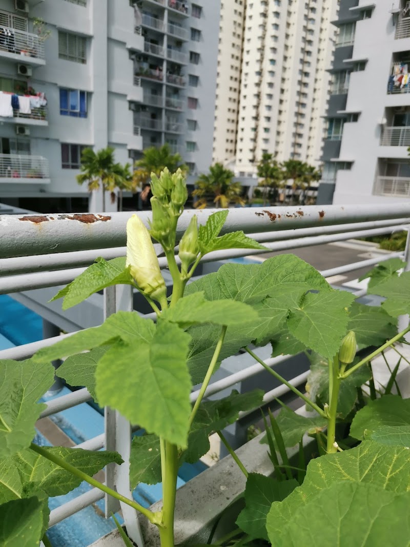 Seaview Butterworth in Butterworth, Malaysia
