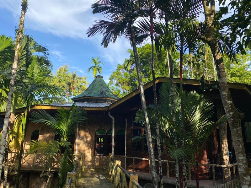 Sepilok Jungle Resort in Sandakan, Malaysia