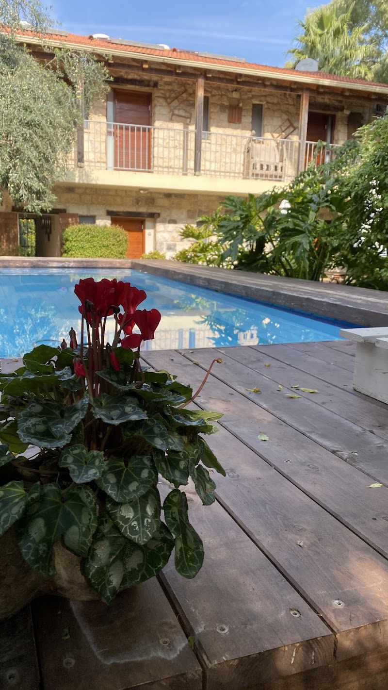 Shulamit Yard in Zefat, Israel