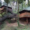 Tabin Lodge