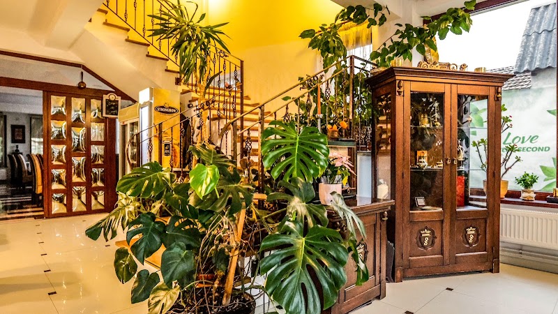 The Garden Resort in Zarnesti, Romania