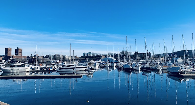 The Thief in Oslo, Norway