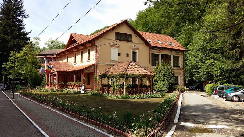 Vila Cerbul Albastru in Vatra Dornei, Romania