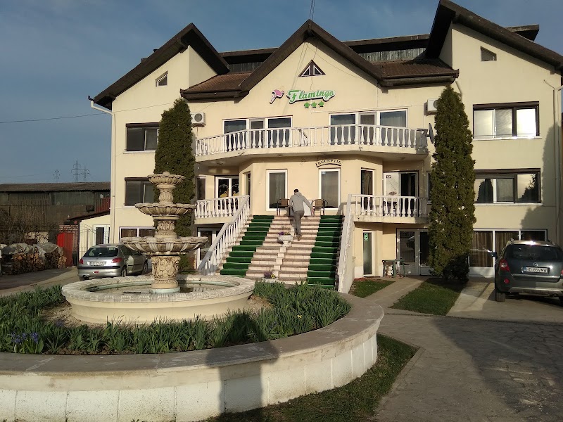 Vila Flamingo in Hunedoara, Romania