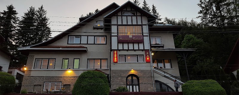 Vila Gabriel in Covasna, Romania