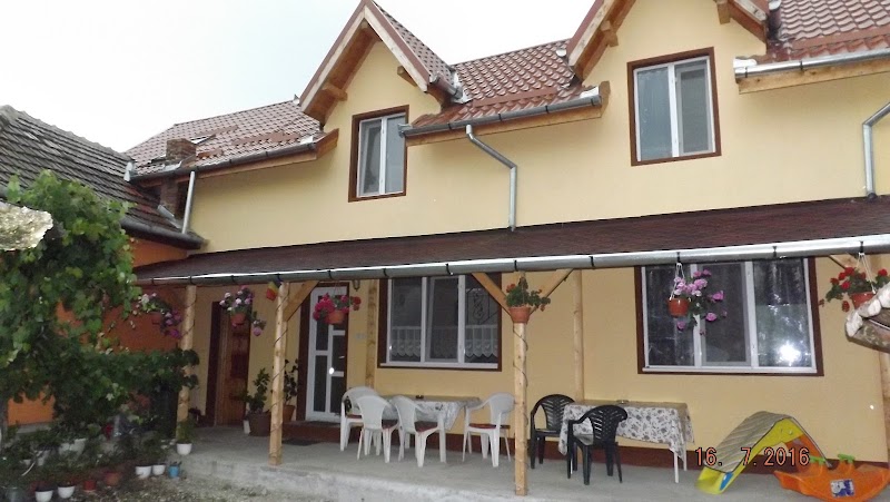 Vila Nicole in Hateg, Romania