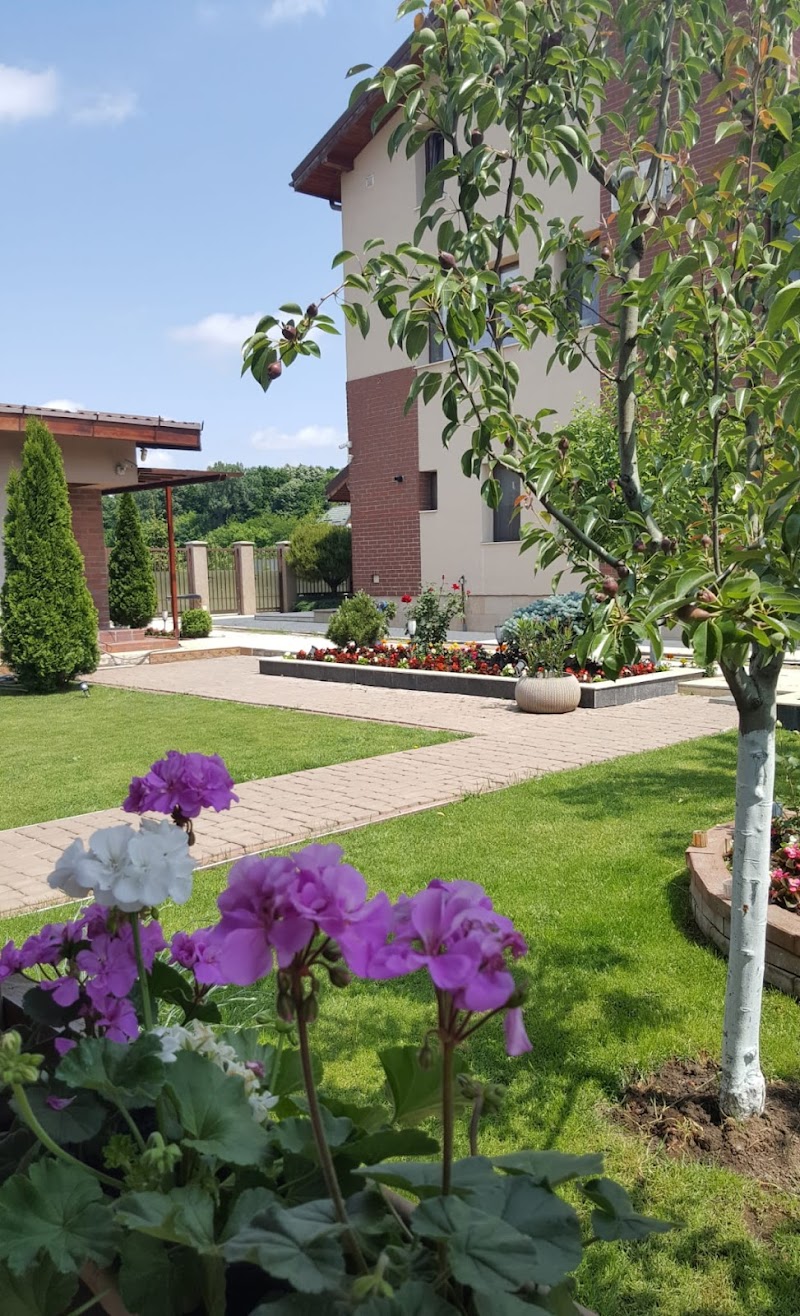 Vila Ramona in Otopeni, Romania