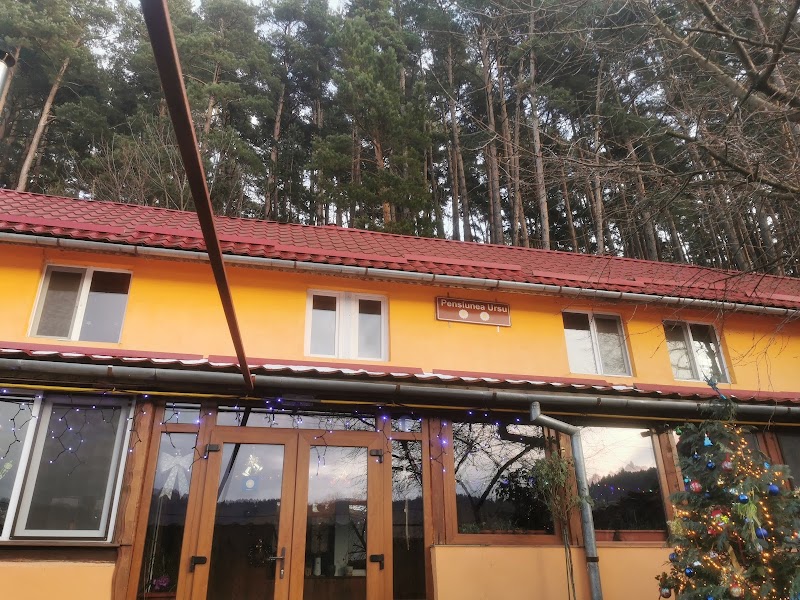 Vila Ursu in Covasna, Romania