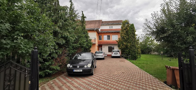 Vila Vlad in Targu Neamt, Romania