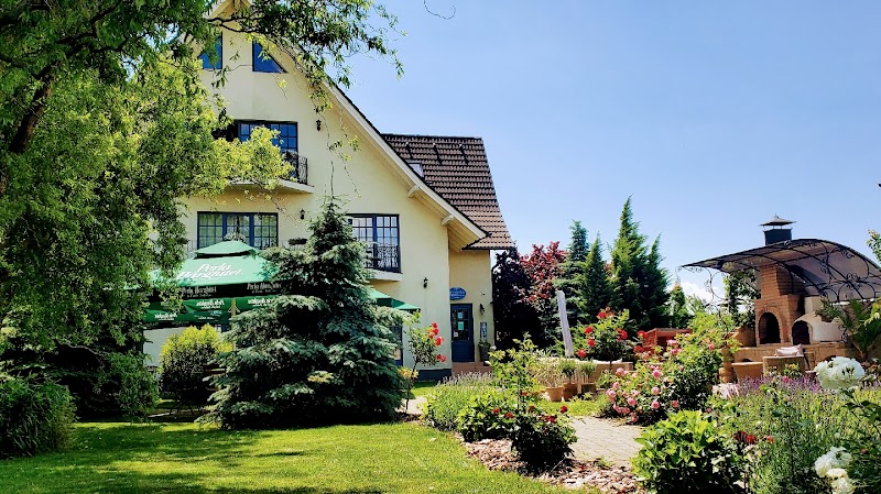 Villa Westfalia in Targu Secuiesc, Romania