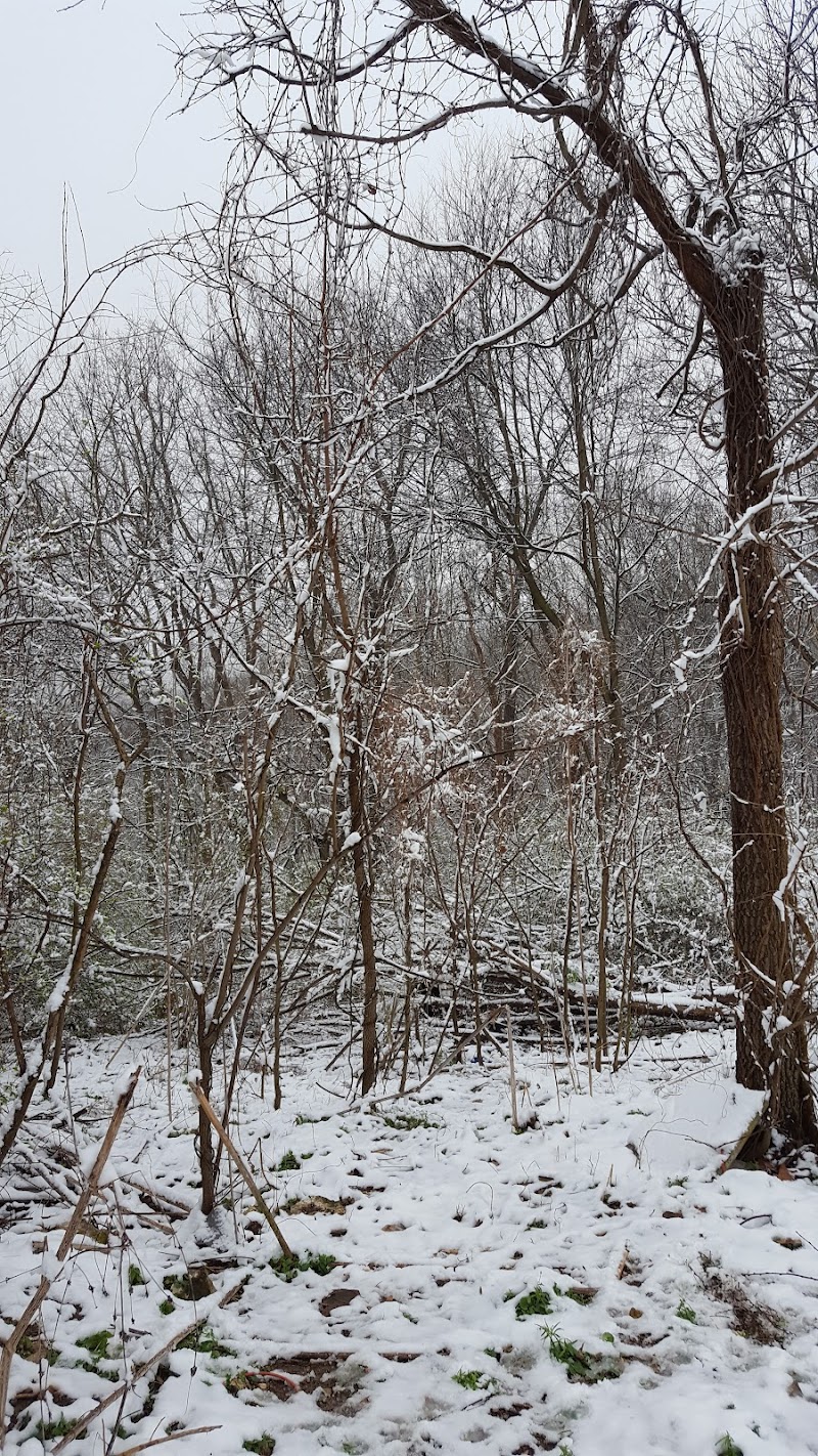 Barnhart Motel in Barnhart, Missouri, United States