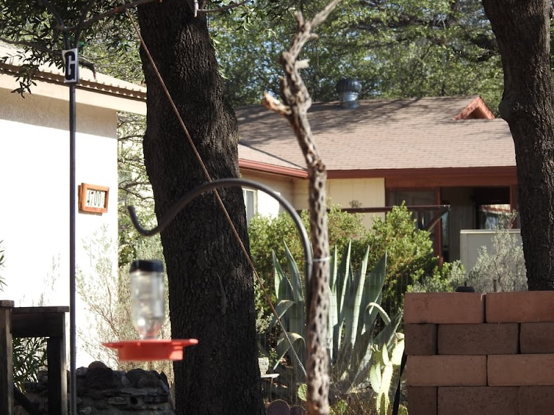 Battiste Bed, Breakfast and Birds in Vail, Arizona, United States