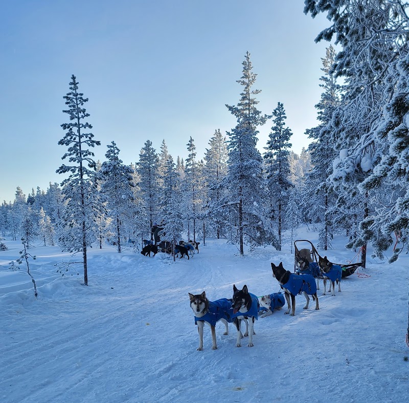 Bearhill Husky Lodge in Rovaniemi, Finland