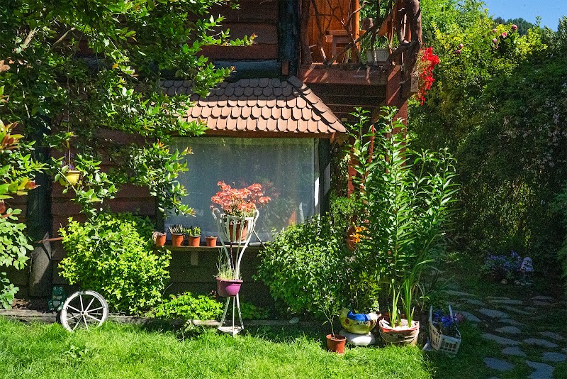 Cabañas Los Arrayanes in Panguipulli, Chile