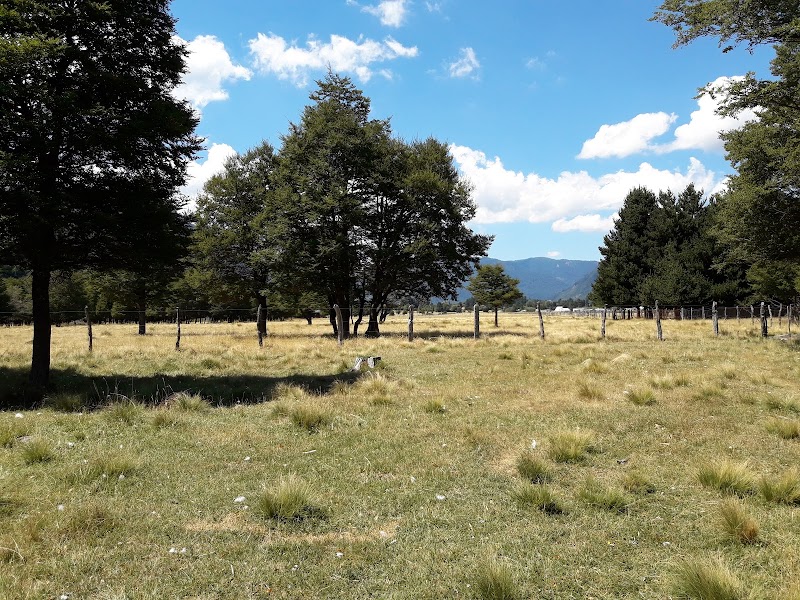 Cabañas Los Tilos in Lonquimay, Chile